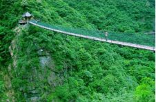 旅游节期间上海日常消费类交易总金额为319.7亿元