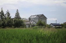 上海这个区1万名村民家门口上岗乡村物业管家，已拿到近5000万元工资收入