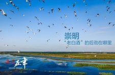 ​品区•五年 | 崇明：“老白酒”的后劲在哪里