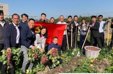 市里来的15名驻村指导员，一年多来在沪郊这个区做了什么……