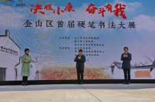 沪郊这个农业大镇，如何摇身变为了“中国硬笔书法名镇”？