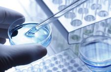打造世界级生物医药产业集群，上海再添两大“利器”
