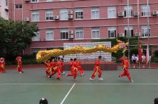 “天龙地龙水龙”进校园 上海大中小学特色“龙教育”五育并举