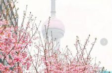 3月春暖花正开，#我在魔都压马路