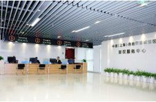 浦东：建立完善区级知识产权公共服务体系