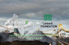 CarbonX碳元素：引领全球碳交易供应平台的创新之路